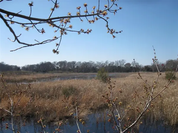 TBD 133 AC +- VZ County Road 4701, Ben Wheeler, TX 75754