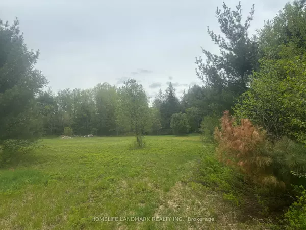 Muskoka Lakes, ON P0C 1J0,1995 Bear Cave RD