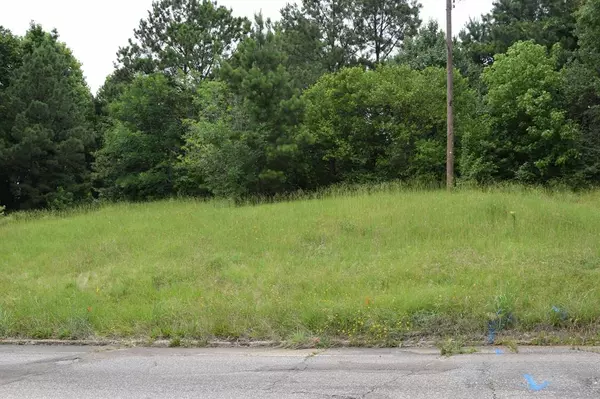 #1 Main Street, Minden, LA 71055