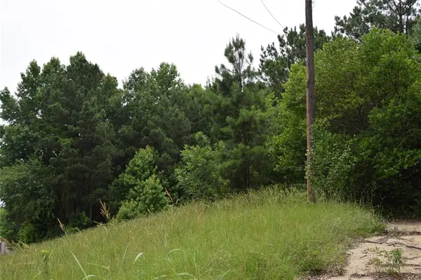 Minden, LA 71055,#1 Main Street