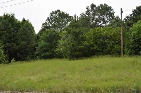 Minden, LA 71055,#1 Main Street