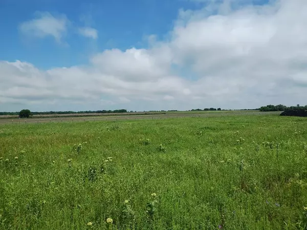 Cooper, TX 75432,4225 County Road 4225