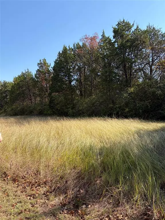 Dallas, TX 75241,6540 No Name Street #6540