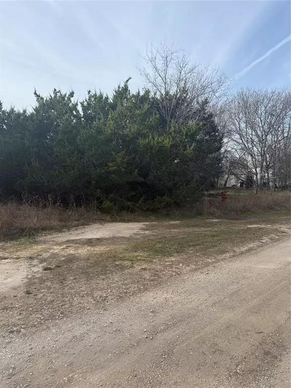 Morgans Point Resort, TX 76513,58 Bramble Bush Drive