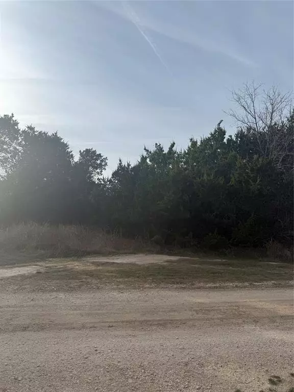 Morgans Point Resort, TX 76513,58 Bramble Bush Drive