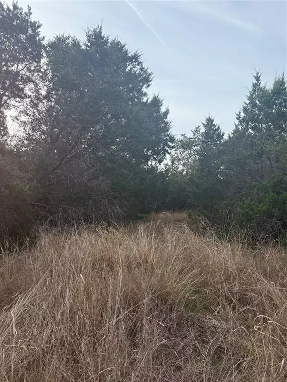 Morgans Point Resort, TX 76513,58 Bramble Bush Drive