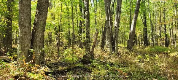 PT/Lot 21 Concession 3 RD, Drummond/north Elmsley, ON K7H 3C7