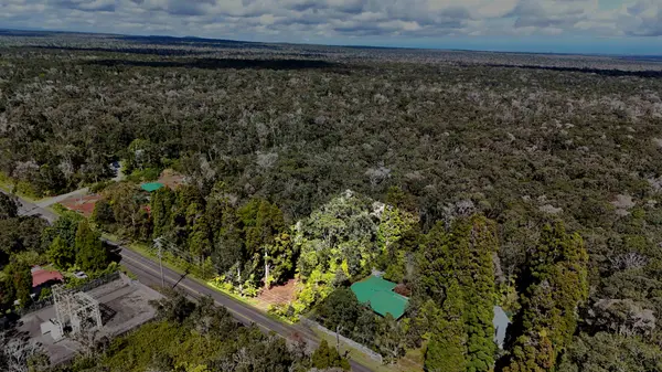 Volcano, HI 96785,WRIGHT RD