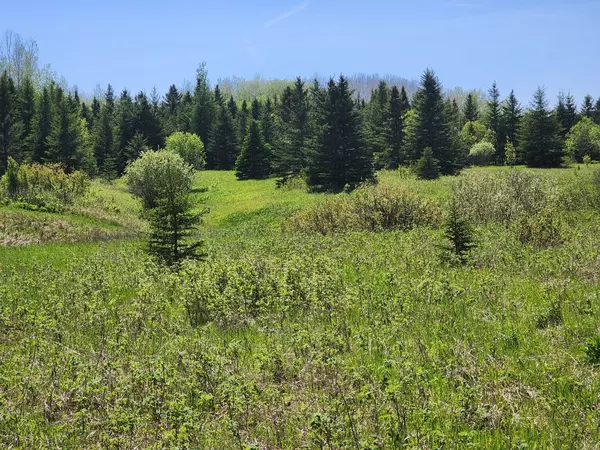 LOT 10 CON 5 N/A N/A, Black River-matheson, ON P0K 1N0