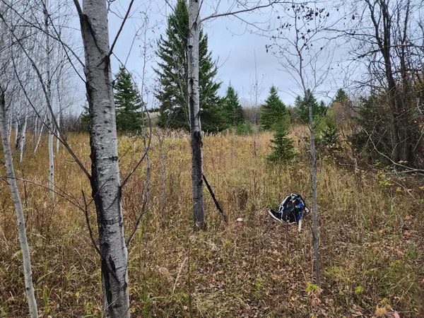 Black River-matheson, ON P0K 1N0,LOT 10 CON 5 N/A N/A