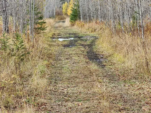 Black River-matheson, ON P0K 1N0,LOT 10 CON 5 N/A N/A