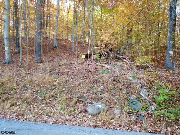 26 Dickerson Rd, Frankford Twp., NJ 07826