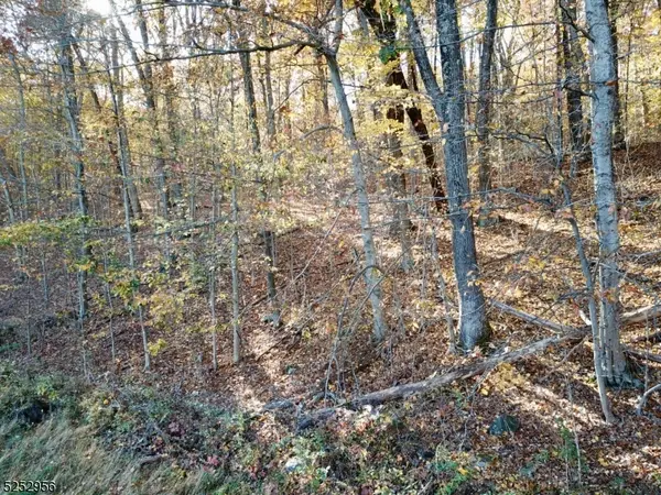 26 Dickerson Rd, Frankford Twp., NJ 07826