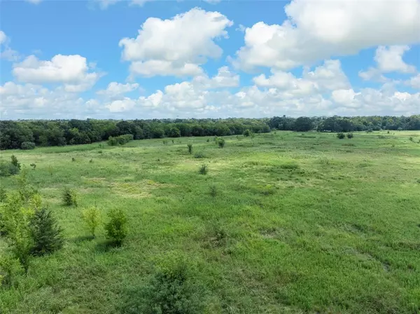 Marlin, TX 76661,TBD Phillips Street