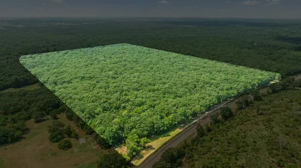 Bogata, TX 75417,000 FM 410 S