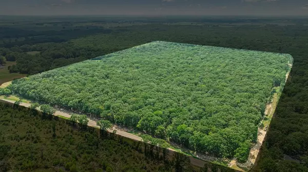 Bogata, TX 75417,000 FM 410 S