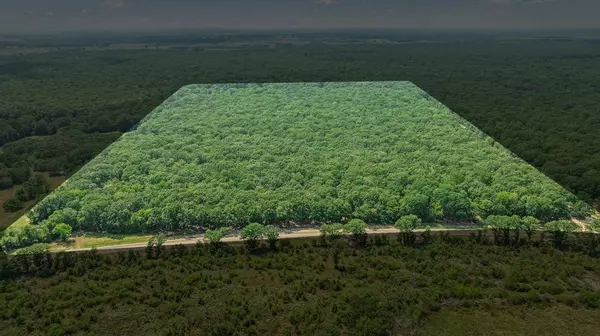 Bogata, TX 75417,000 FM 410 S