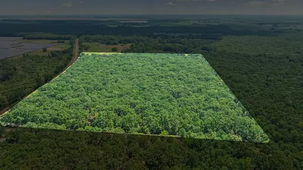 Bogata, TX 75417,000 FM 410 S