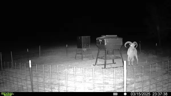 15100 County Road 129, Brownwood, TX 76801