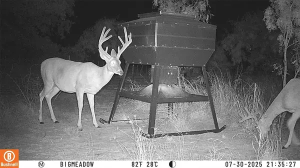 Brownwood, TX 76801,15100 County Road 129