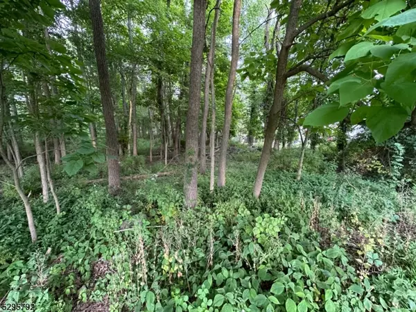 L1101 Fairfield Ave, West Caldwell Twp., NJ 07006