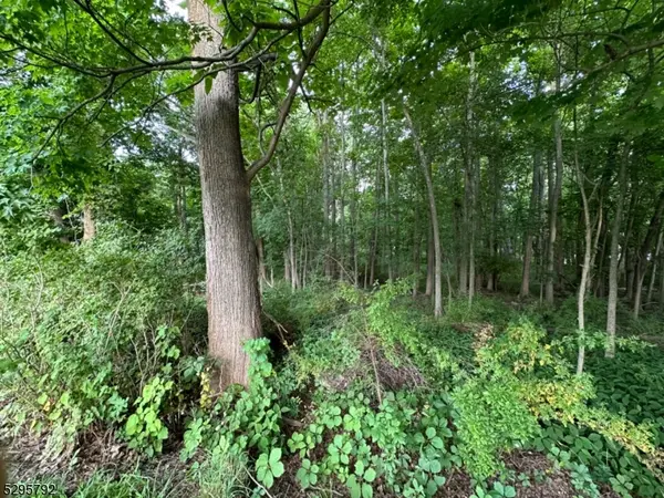 L1101 Fairfield Ave, West Caldwell Twp., NJ 07006