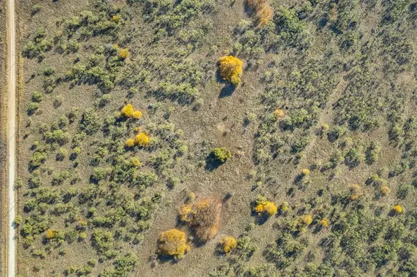 000 Oliver Wells Road, Henrietta, TX 76365