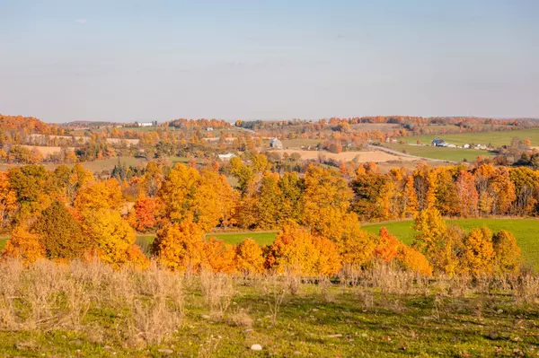 Alnwick/haldimand, ON K0K 2X0,PT LT 23 & 24 County Road 24 N/A