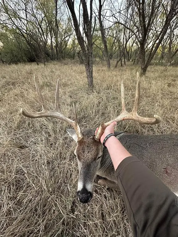 Anson, TX 75901,6525 E 180