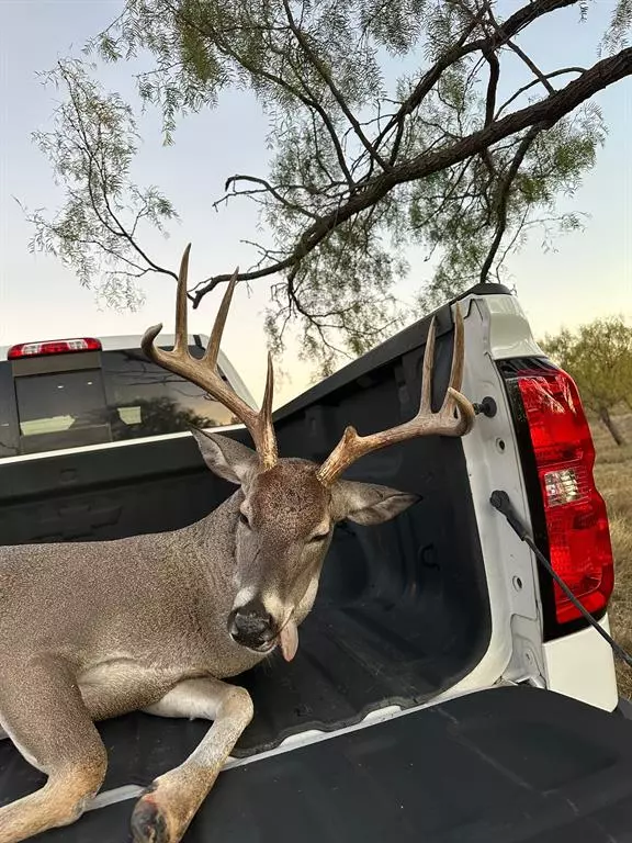 Anson, TX 75901,6525 E 180