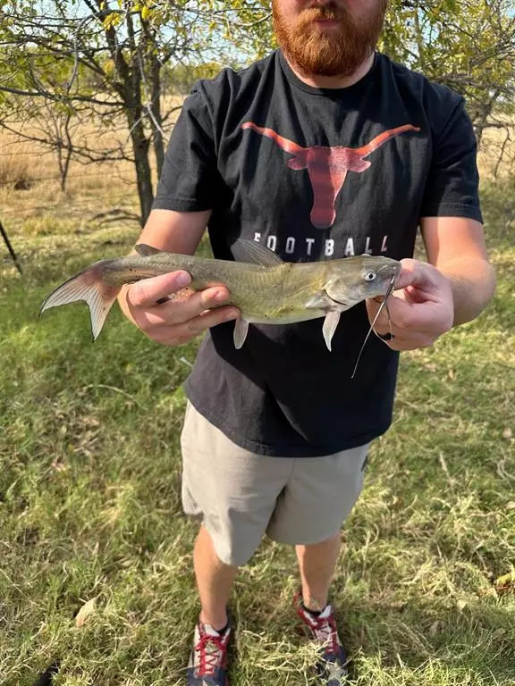 Anson, TX 75901,6525 E 180