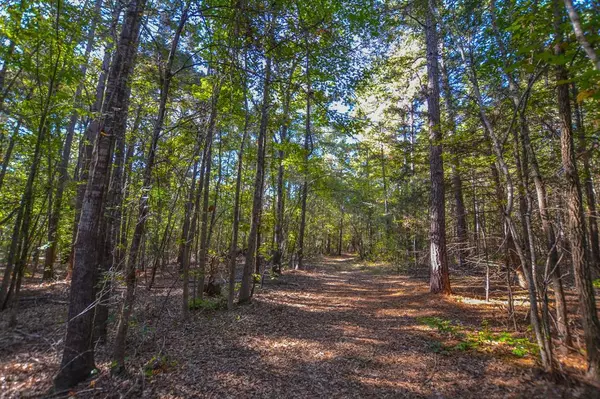 Chandler, TX 75758,0 COUNTY ROAD 3409