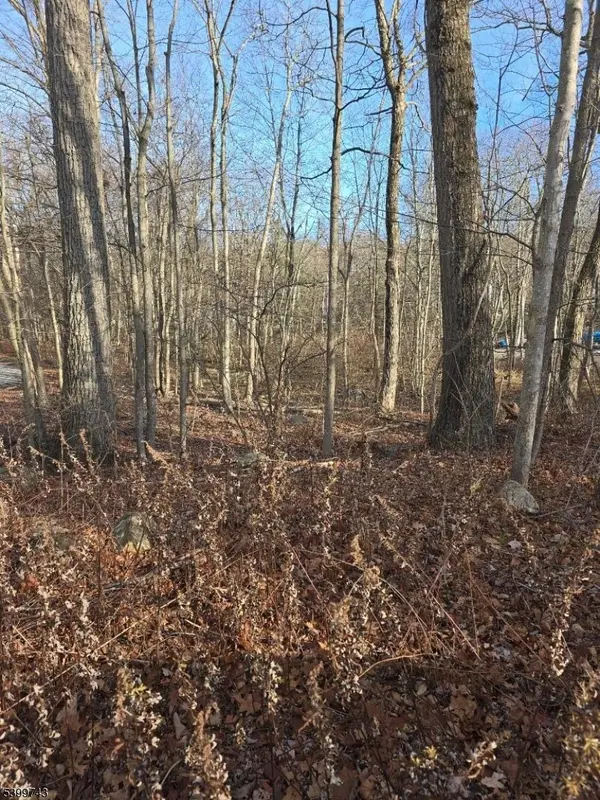 West Milford Twp., NJ 07421,00 Linwood Rd