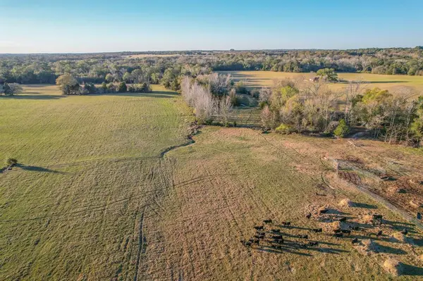 Athens, TX 75752,13612 County Road 3900