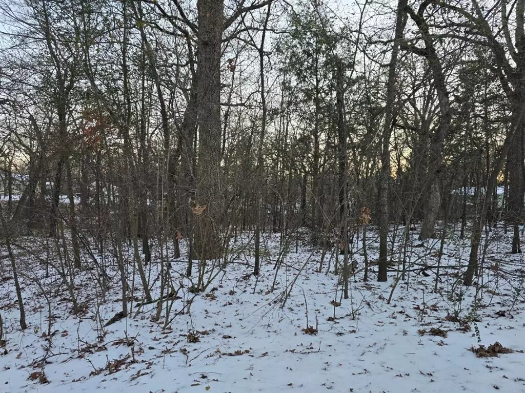 Gun Barrel City, TX 75156,Lot 753 Doe Run Road