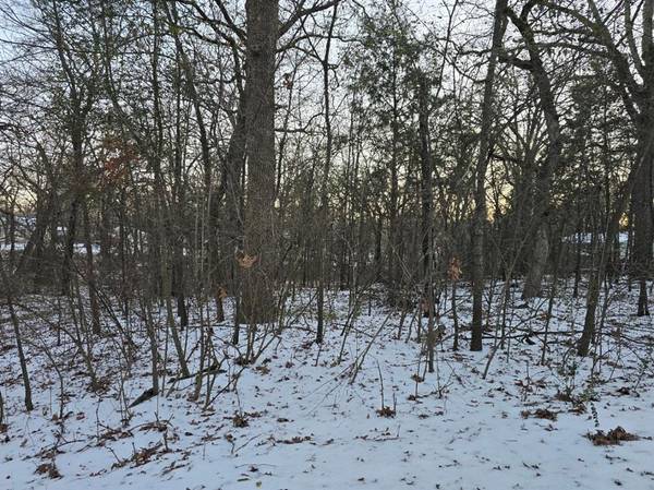 Gun Barrel City, TX 75156,Lot 753 Doe Run Road