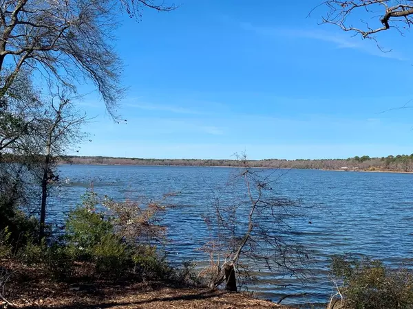 Larue, TX 75770,3266 Shadow Pine Drive