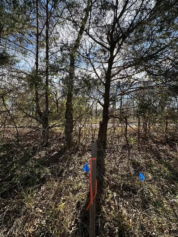 Como, TX 75431,0000 County Road 2324