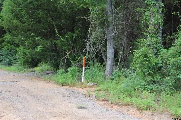 Jacksonville, TX 75766,TBD Loop 456 - 14.73 acres