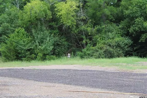 Jacksonville, TX 75766,TBD Loop 456 - 14.73 acres