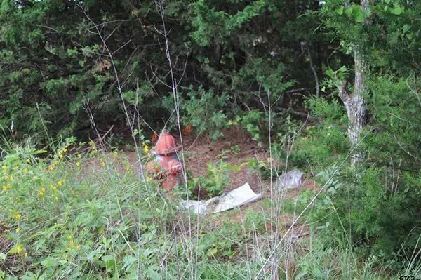 TBD Loop 456 - 14.73 acres, Jacksonville, TX 75766