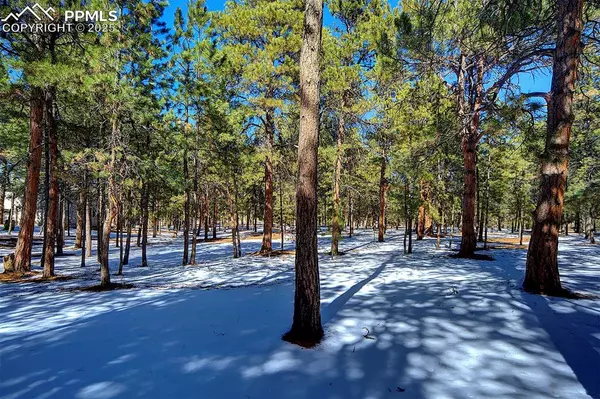 Colorado Springs, CO 80908,4070 Wavy Oak DR