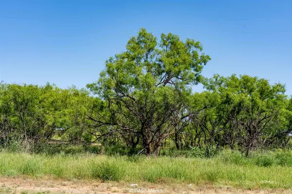 FM 2142 FM 2142, Rotan, TX 79546