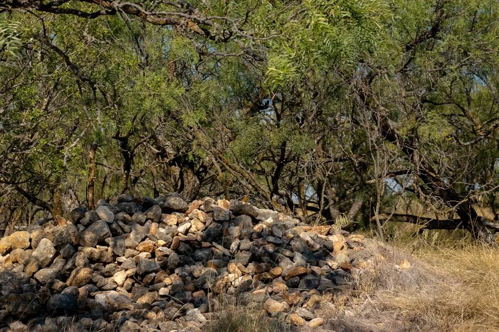 Clyde, TX 79510,TBD County Road 242