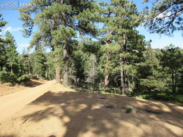 Manitou Springs, CO 80829,213 Coffee Pot RD