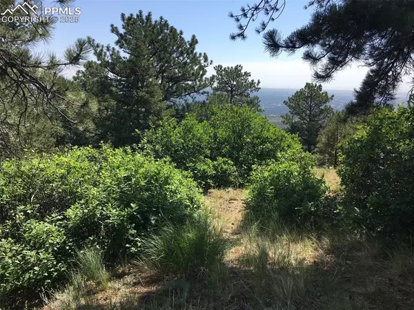 Manitou Springs, CO 80829,292 Sugarloaf RD