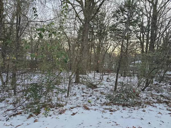 Gun Barrel City, TX 75156,Lot 750 Doe Run Road