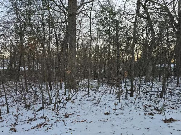 Gun Barrel City, TX 75156,Lot 750 Doe Run Road