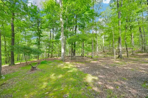 Fredon Twp., NJ 07860,51 Paulinskill Lake Rd