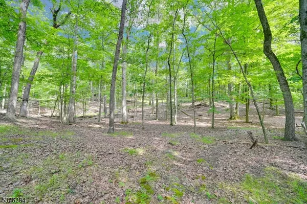 Fredon Twp., NJ 07860,51 Paulinskill Lake Rd